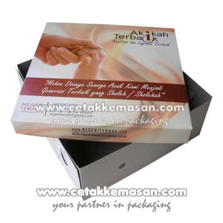 Dus Nasi Tutup Pisah DNP016